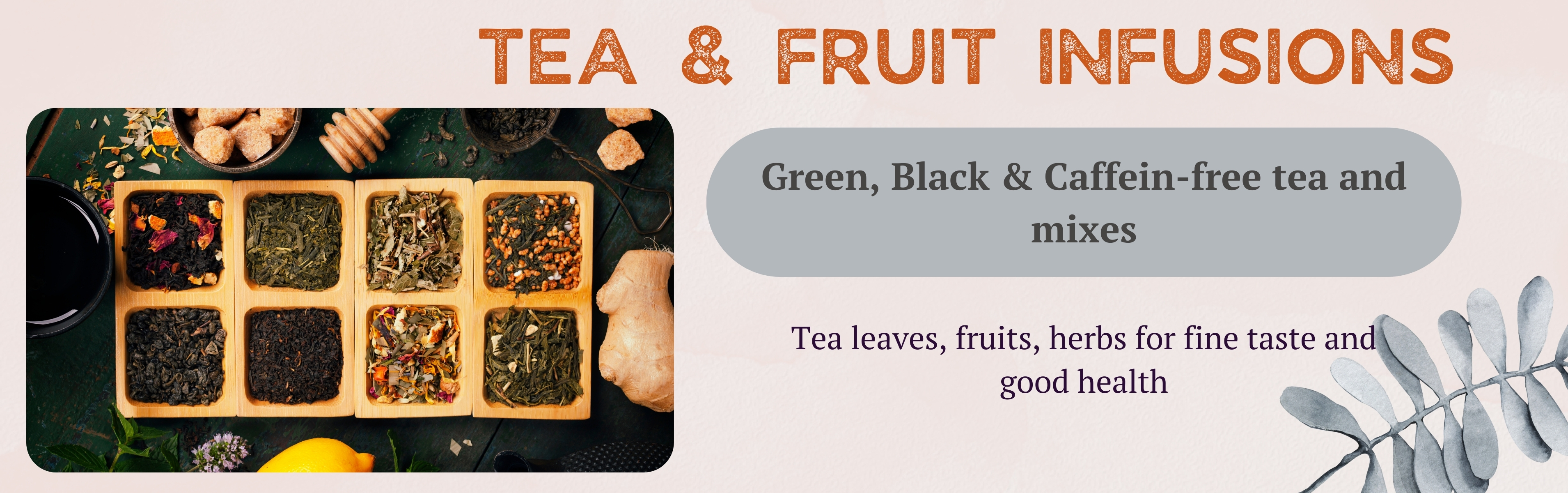 ALPAKA Kft. - Spice Trade Online