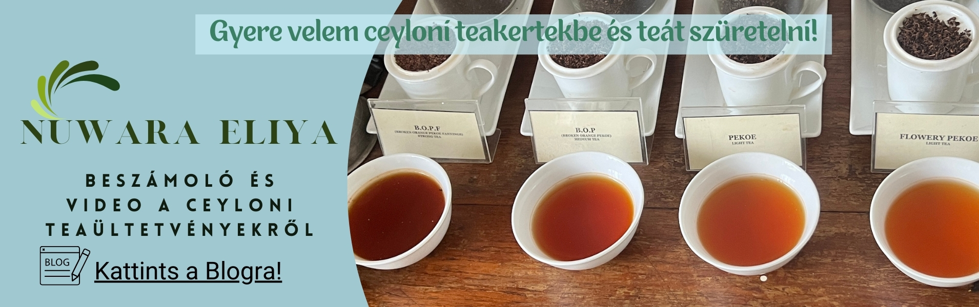 ALPAKA Kft - Fűszer Nagyker