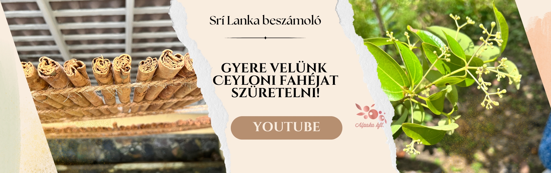 ALPAKA Kft - Fűszer Nagyker