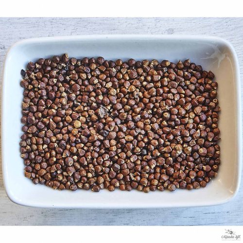 Guinea pepper (Melegueta)