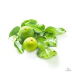 Lime leaves (Kaffir Lime)