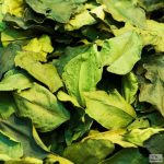 A Lime levél (kaffir lime) kiválóan párosítható mind a könnyebb, mind a nehezebb ízvilágú ételekkel.