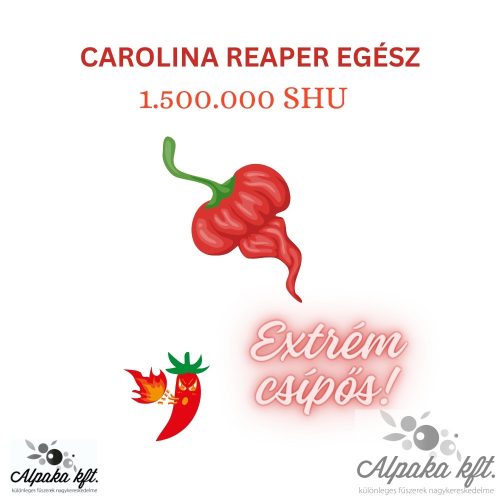 Chili - Carolina Reaper- egész EXTRÉM CSÍPŐS