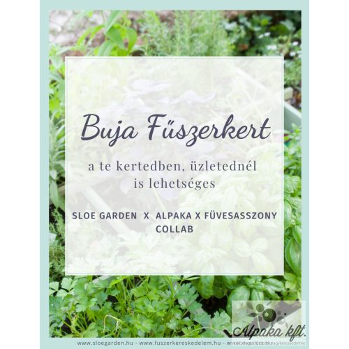 Lush Herb Garden e-book